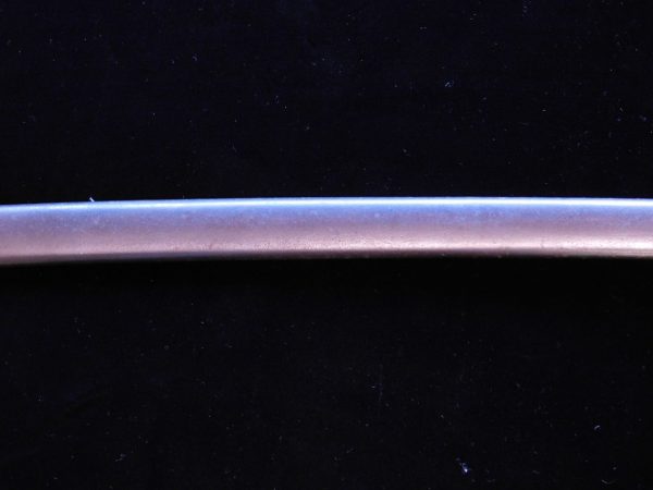 RARE Early SS Silver Lion Head Sword w/SS Portepee & Hanger (#27368)